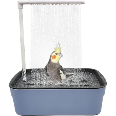 UAMLY Douche à circulation d'eau automatique pour oiseaux et bain