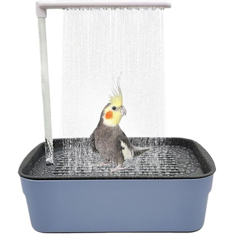 Douche à circulation d'eau automatique pour oiseaux et bain