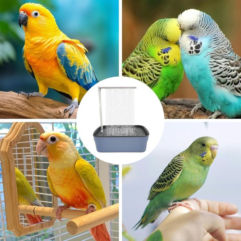 Douche à circulation d'eau automatique pour oiseaux et bain
