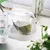 Pawzy Bain d'oiseaux pour petits oiseaux