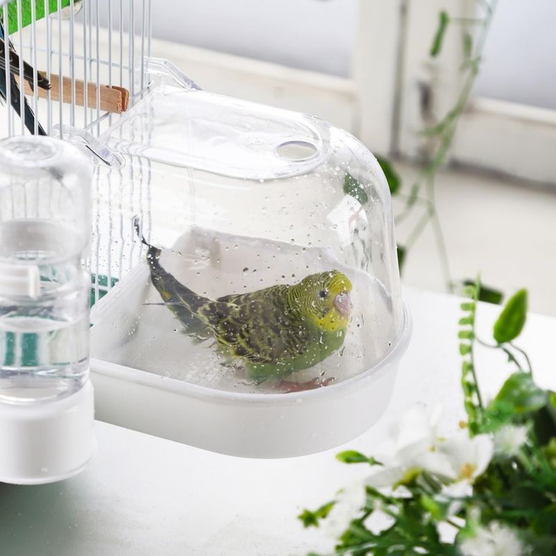 Pawzy Bain d'oiseaux pour petits oiseaux