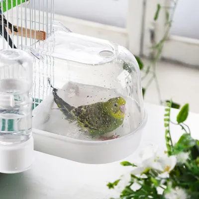 Pawzy Bain d'oiseaux pour petits oiseaux