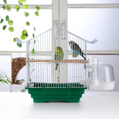 Pawzy Bain d'oiseaux pour petits oiseaux