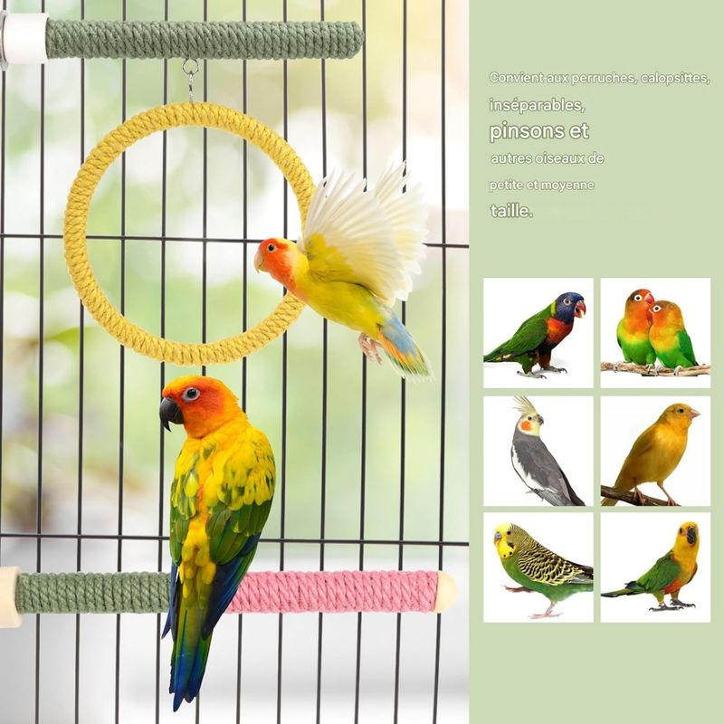 Pawzy Jouet en bois pour perroquet