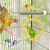 Pawzy Jouet en bois pour perroquet