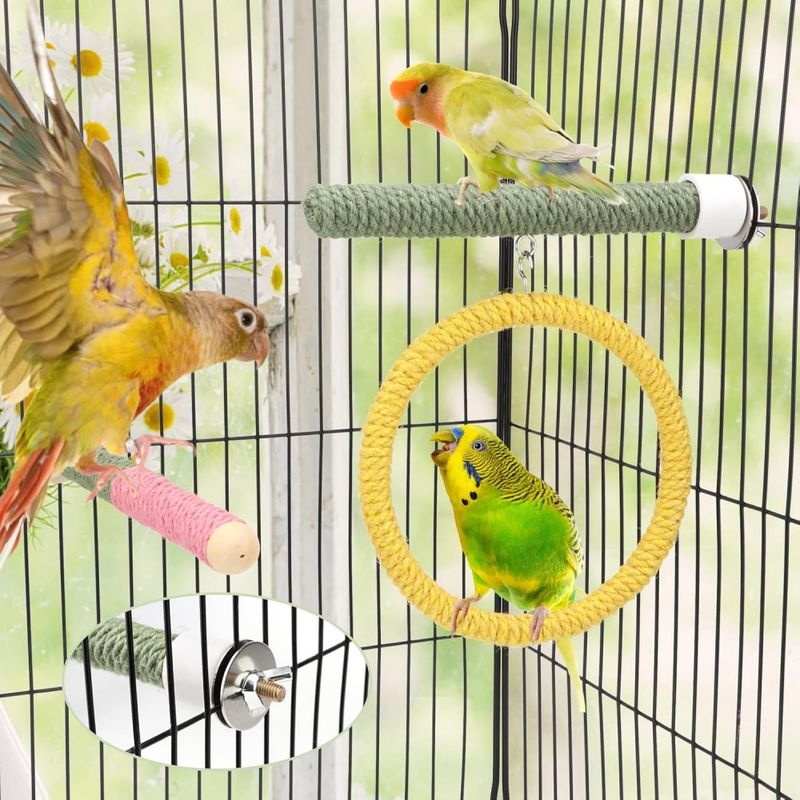 Pawzy Jouet en bois pour perroquet