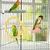 Pawzy Jouet en bois pour perroquet