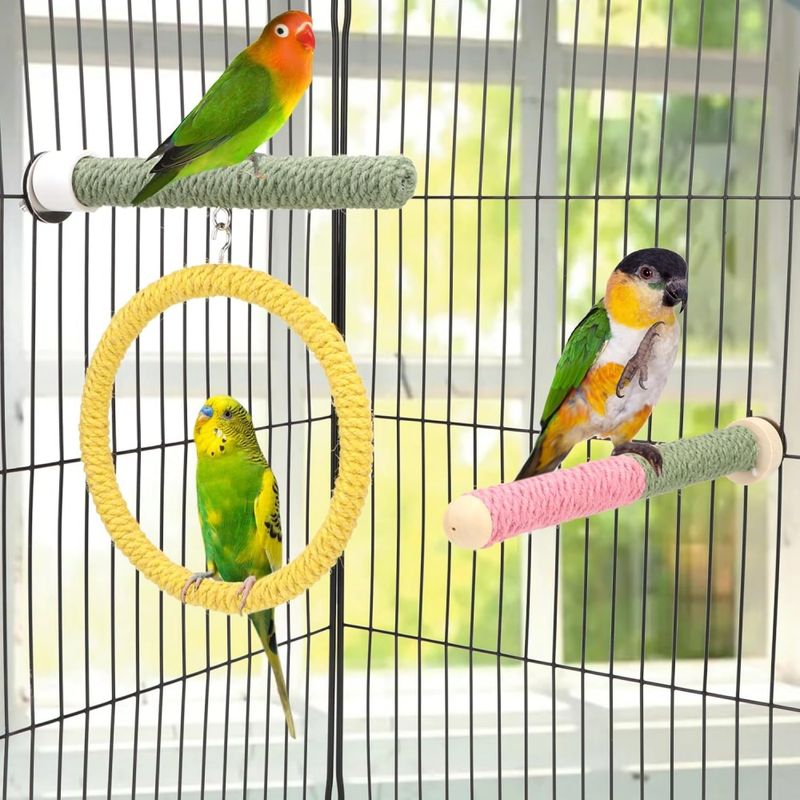Pawzy Jouet en bois pour perroquet