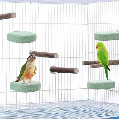 Pawzy Perchoir pour cage à oiseaux bâton de dentition