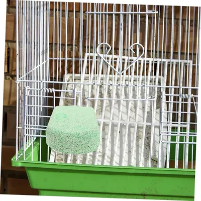 Pawzy Perchoir pour cage à oiseaux bâton de dentition
