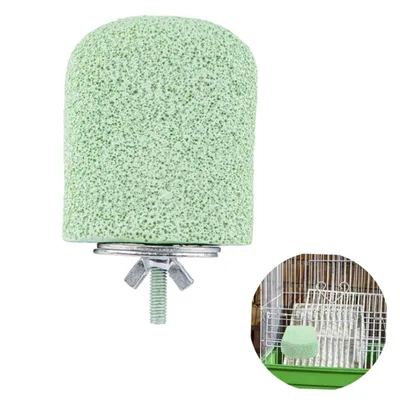 Pawzy Perchoir pour cage à oiseaux bâton de dentition