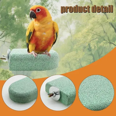 Pawzy Perchoir pour cage à oiseaux bâton de dentition