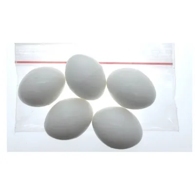 5 œufs artificiel en plastique pour oiseaux Calopsitte , inséparables, agap