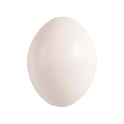 5 œufs artificiel en plastique pour oiseaux Calopsitte , inséparables, agap