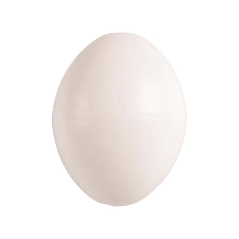 animallparadise - 5 œufs artificiel en plastique pour oiseaux Calopsitte ,