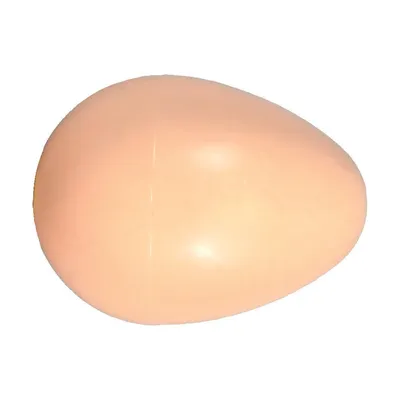 zolux - œuf de poule en plastique diametre 4.4 cm pour volaille zolux - œuf de poule en plastique diametre 4.4 cm pour volaille