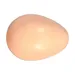 œuf de poule en plastique diametre 4.4 cm pour volaille