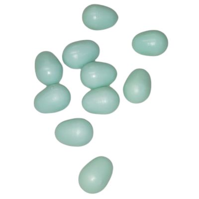 animallparadise - 10 œufs artificiel en plastique ø 1.6 cm pour canari