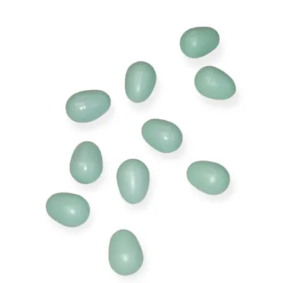 10 œufs artificiel en plastique ø 1.6 cm pour canari