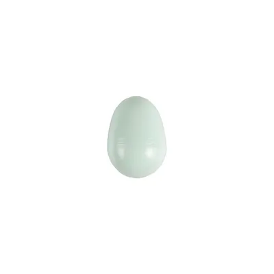 10 œufs artificiel en plastique ø 1.6 cm pour canari