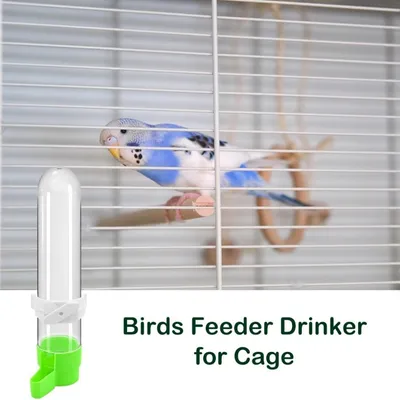 Pawzy Abreuvoir pour oiseaux