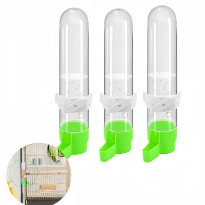 Pawzy Abreuvoir pour oiseaux