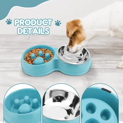Pawzy Bol d'alimentation ralenti et d'eau pour animaux