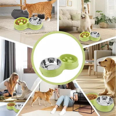 Pawzy Bol d'alimentation ralenti et d'eau pour animaux