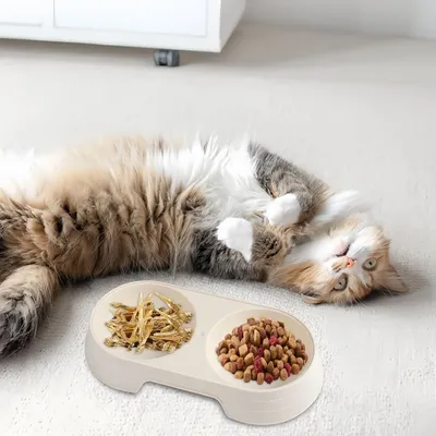 Pawzy Gamelle double, adaptée aux chats et aux chiens