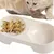 Pawzy Gamelle double, adaptée aux chats et aux chiens