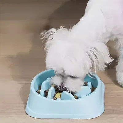 Pawzy Bol anti - glissement  pour animaux de compagnie