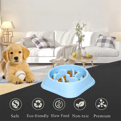 Pawzy Bol anti - glissement  pour animaux de compagnie