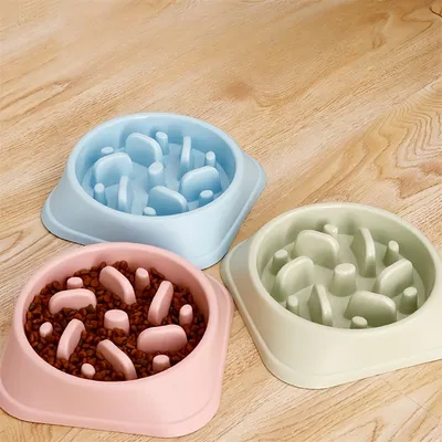Pawzy Bol anti - glissement  pour animaux de compagnie