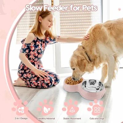 Pawzy Bol d'alimentation ralenti et d'eau pour animaux
