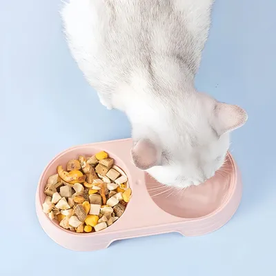 Pawzy Gamelle double, adaptée aux chats et aux chiens