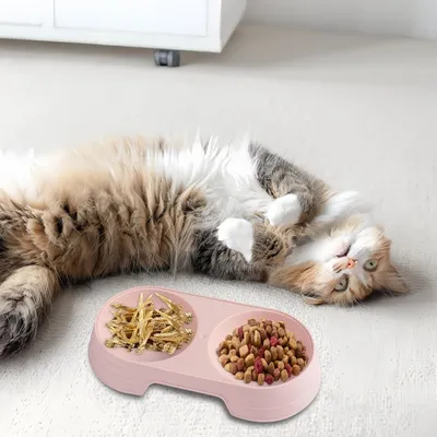 Pawzy Gamelle double, adaptée aux chats et aux chiens