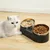 Pawzy Double bol en acier inoxydable pour animaux de compagnie