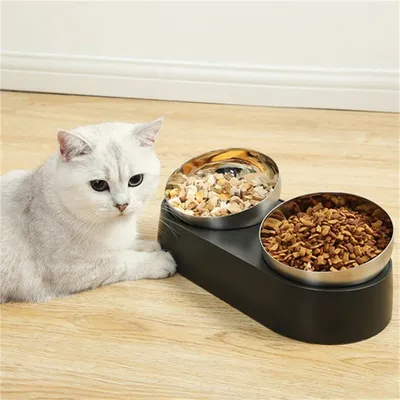 Pawzy Double bol en acier inoxydable pour animaux de compagnie