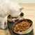 Pawzy Double bol en acier inoxydable pour animaux de compagnie