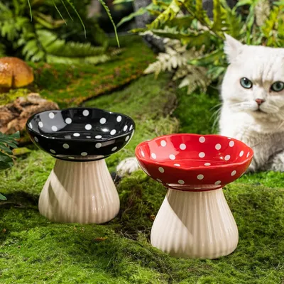 Zoomtopia Gamelle surélevée pour chat