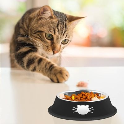 Zoomtopia Gamelle pour chat et chien en acier inoxydable