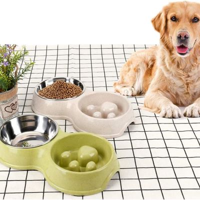 Pawzy Bol d'alimentation ralenti et d'eau pour animaux
