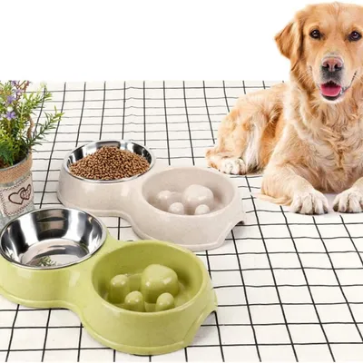 Pawzy Bol d'alimentation ralenti et d'eau pour animaux