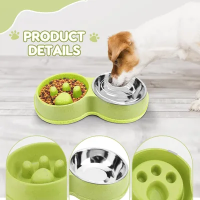 Pawzy Bol d'alimentation ralenti et d'eau pour animaux