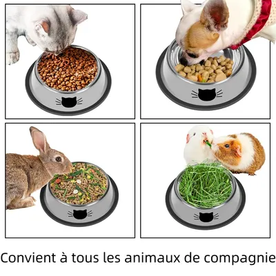 Zoomtopia Gamelle pour chat et chien en acier inoxydable