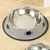 Zoomtopia Gamelle pour chat et chien en acier inoxydable