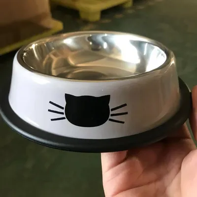Zoomtopia Gamelle pour chat et chien en acier inoxydable