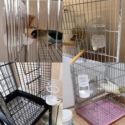 Pawzy Abreuvoir automatique pour oiseaux