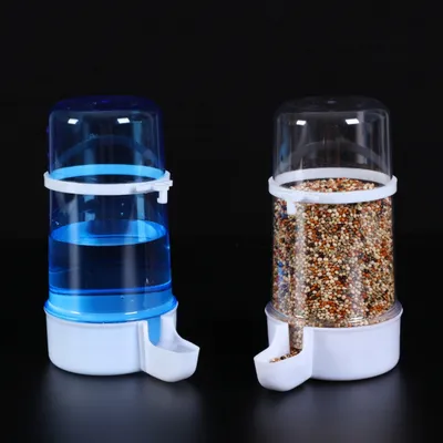 Pawzy Abreuvoir automatique pour oiseaux