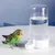 Pawzy Abreuvoir automatique pour oiseaux